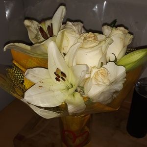 Meet your Posher, Shelby